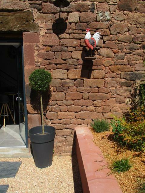 Villa La Ferme Du Duzou Saint-Cyprien-sur-Dourdou Exterior foto